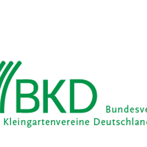 BKD informiert 10/2024